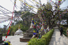 nepal_kathmandu_36